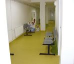IMG 0031.JPG