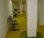 IMG 0034.JPG
