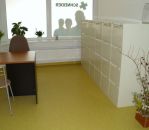 IMG 0038.JPG